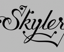Skyler type 1