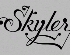 Skyler type 1
