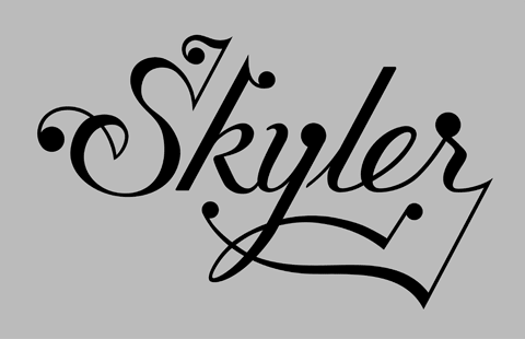 Skyler type 1 Skyler type 1