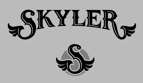 Skyler type 3 Skyler type 3
