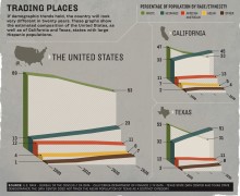 BR Race demographics