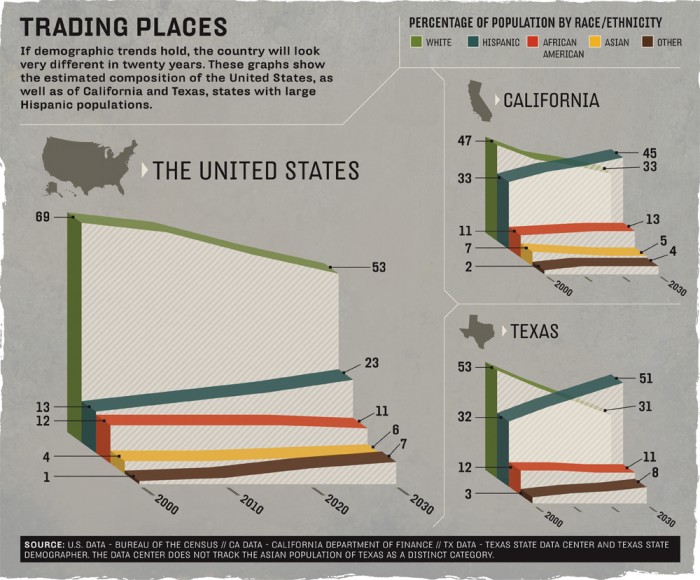 BR Race demographics